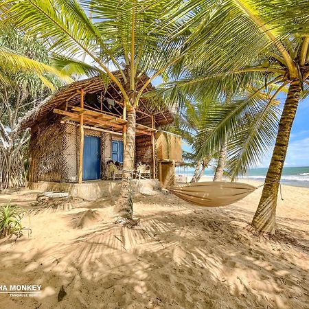 The Alpha Monkey Hotel & Tree House Tangalle Ngoại thất bức ảnh