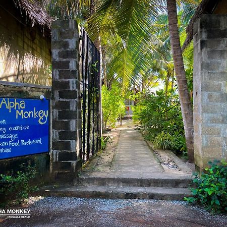 The Alpha Monkey Hotel & Tree House Tangalle Ngoại thất bức ảnh