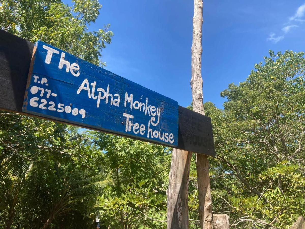 The Alpha Monkey Hotel & Tree House Tangalle Ngoại thất bức ảnh