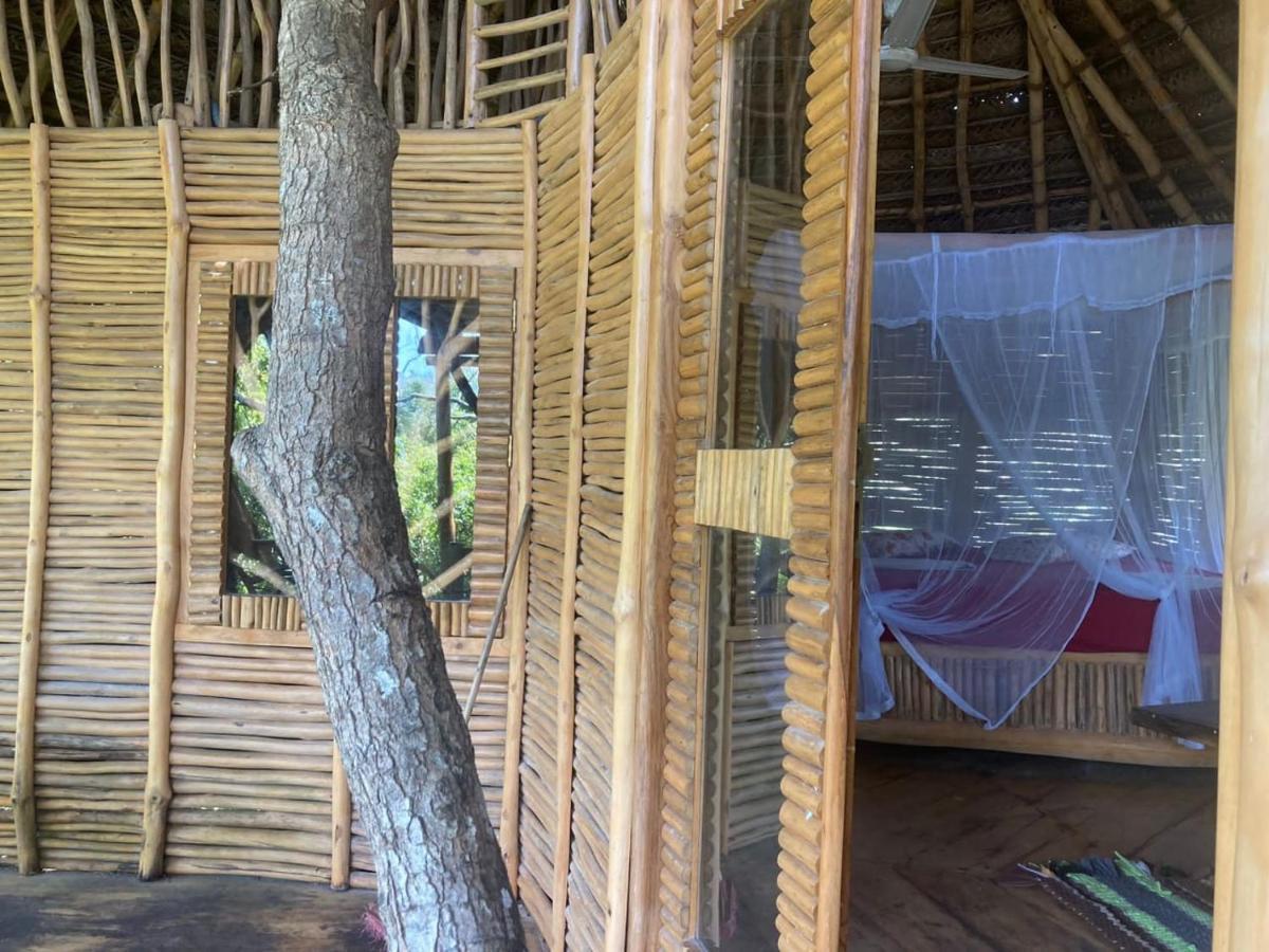 The Alpha Monkey Hotel & Tree House Tangalle Ngoại thất bức ảnh