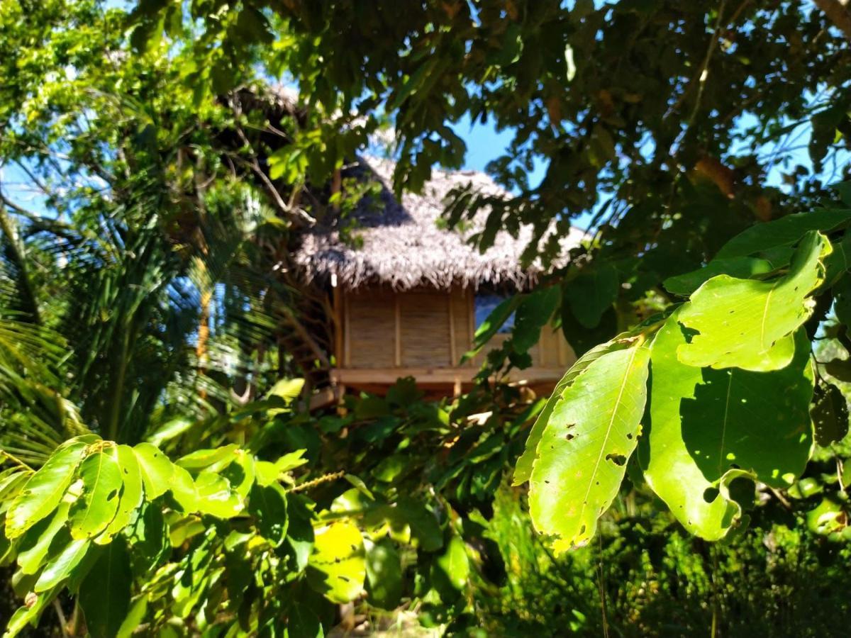 The Alpha Monkey Hotel & Tree House Tangalle Ngoại thất bức ảnh
