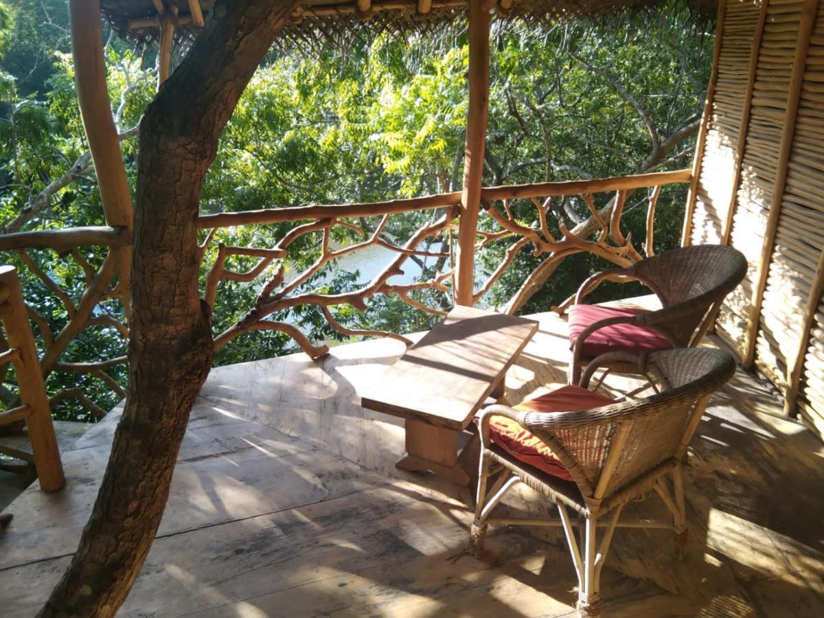 The Alpha Monkey Hotel & Tree House Tangalle Ngoại thất bức ảnh