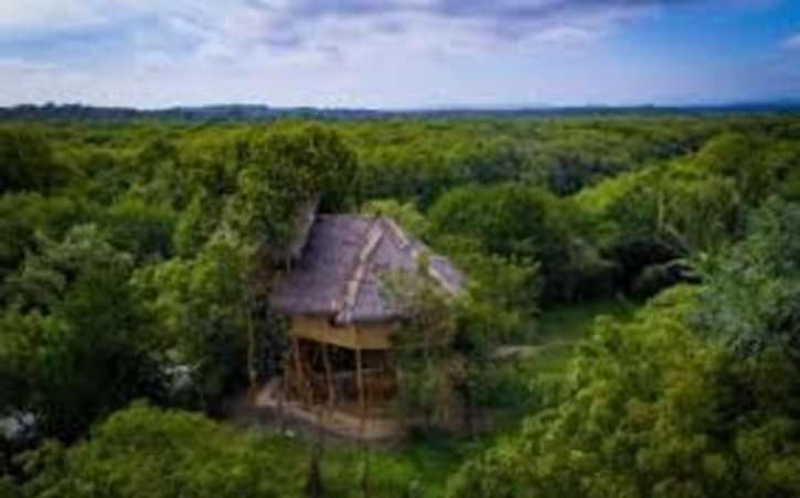 The Alpha Monkey Hotel & Tree House Tangalle Ngoại thất bức ảnh