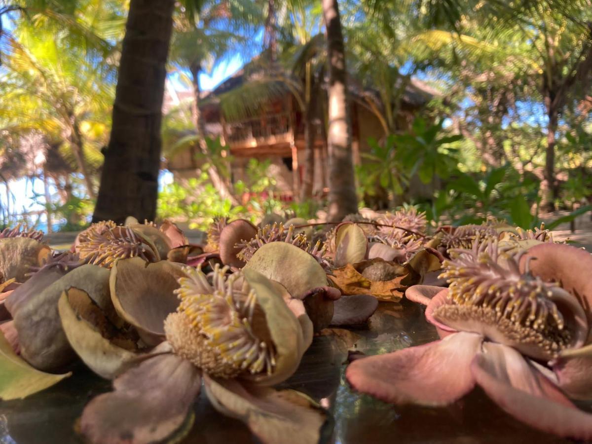 The Alpha Monkey Hotel & Tree House Tangalle Ngoại thất bức ảnh