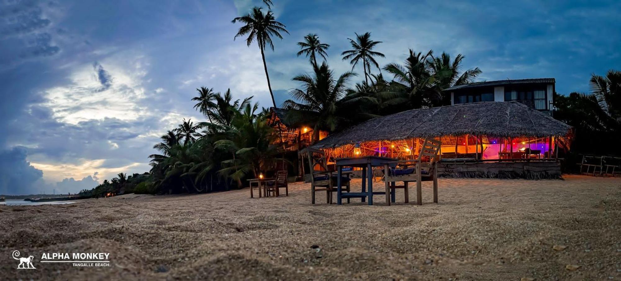 The Alpha Monkey Hotel & Tree House Tangalle Ngoại thất bức ảnh