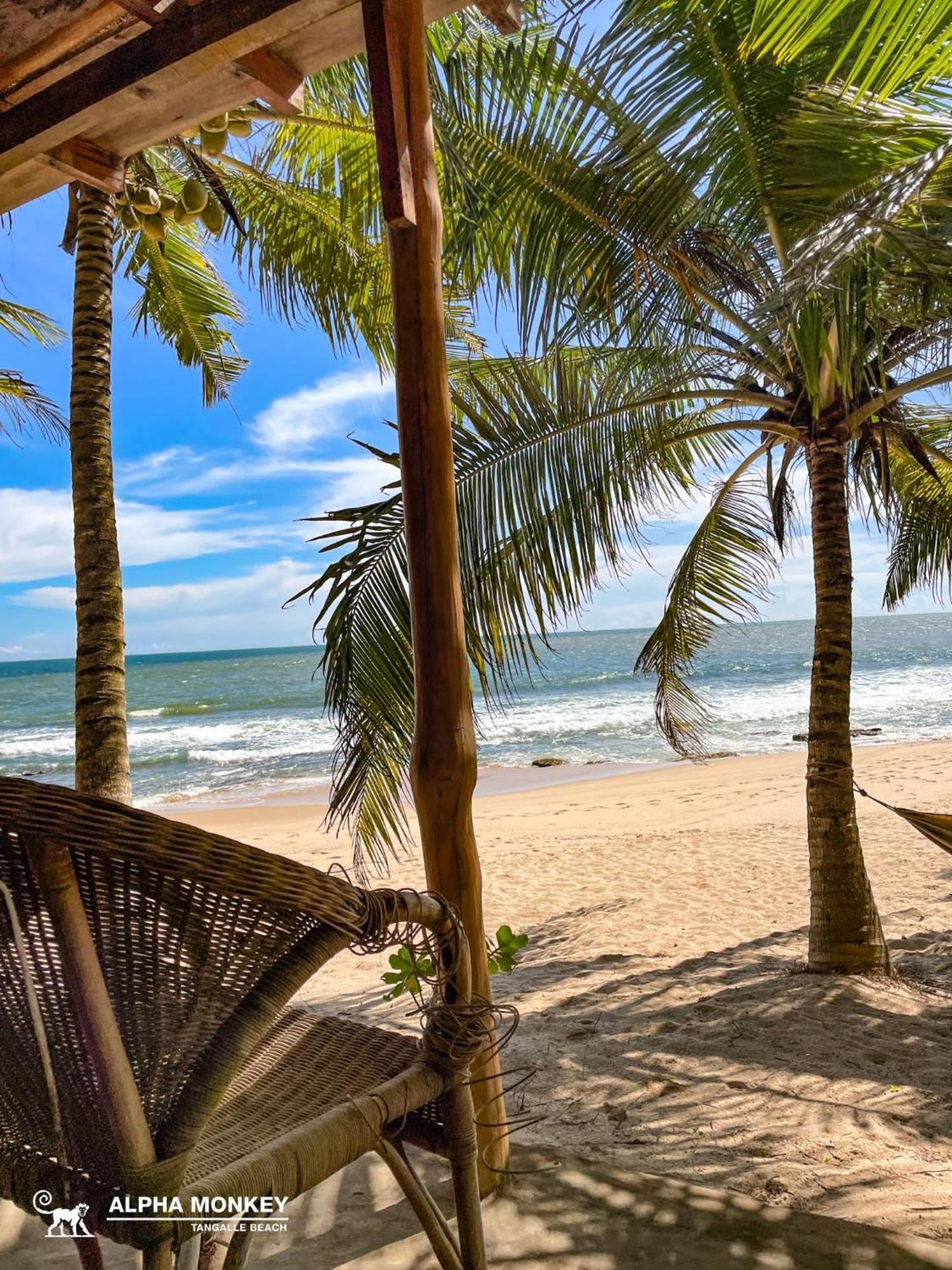 The Alpha Monkey Hotel & Tree House Tangalle Ngoại thất bức ảnh