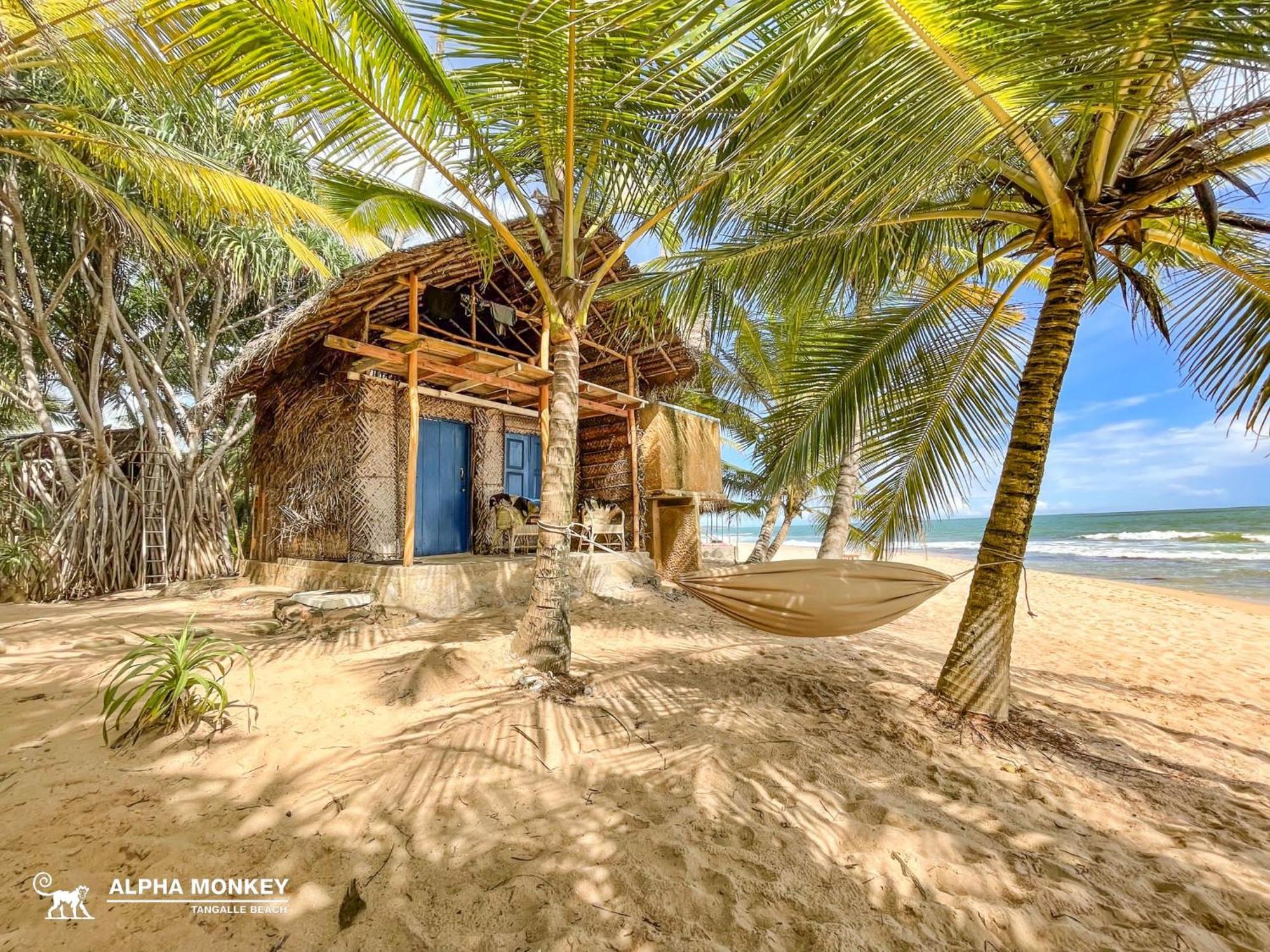The Alpha Monkey Hotel & Tree House Tangalle Ngoại thất bức ảnh