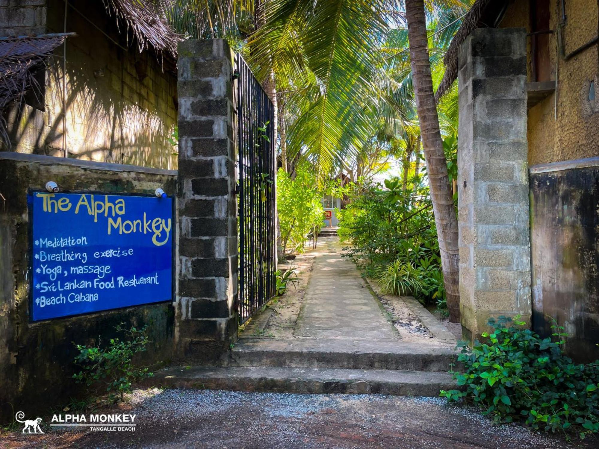 The Alpha Monkey Hotel & Tree House Tangalle Ngoại thất bức ảnh
