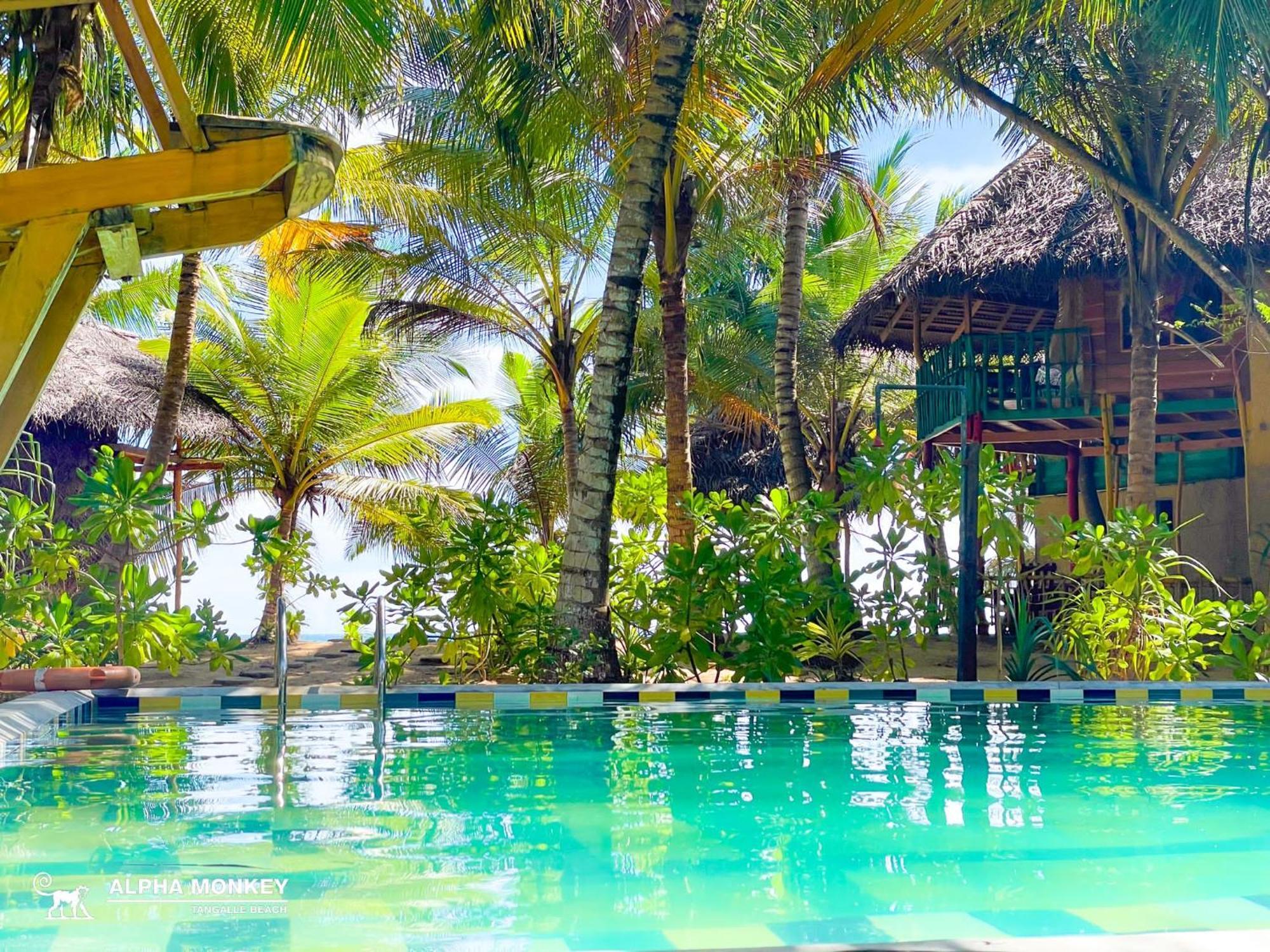 The Alpha Monkey Hotel & Tree House Tangalle Ngoại thất bức ảnh