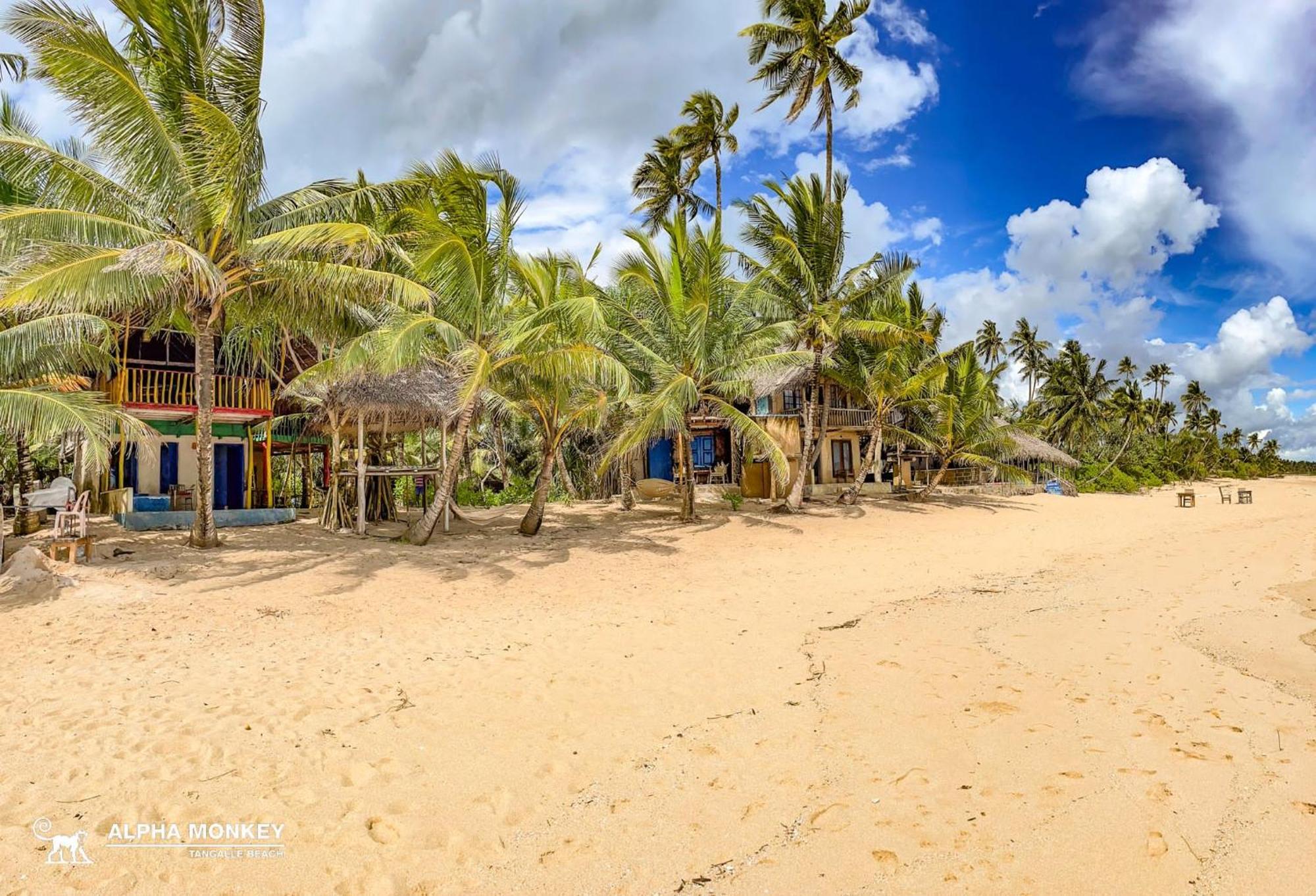 The Alpha Monkey Hotel & Tree House Tangalle Ngoại thất bức ảnh