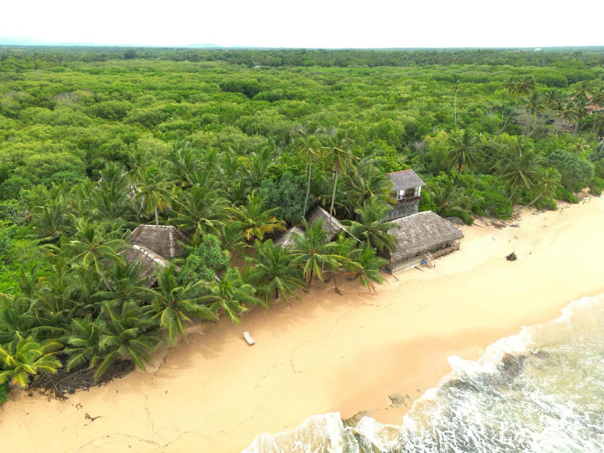 The Alpha Monkey Hotel & Tree House Tangalle Ngoại thất bức ảnh