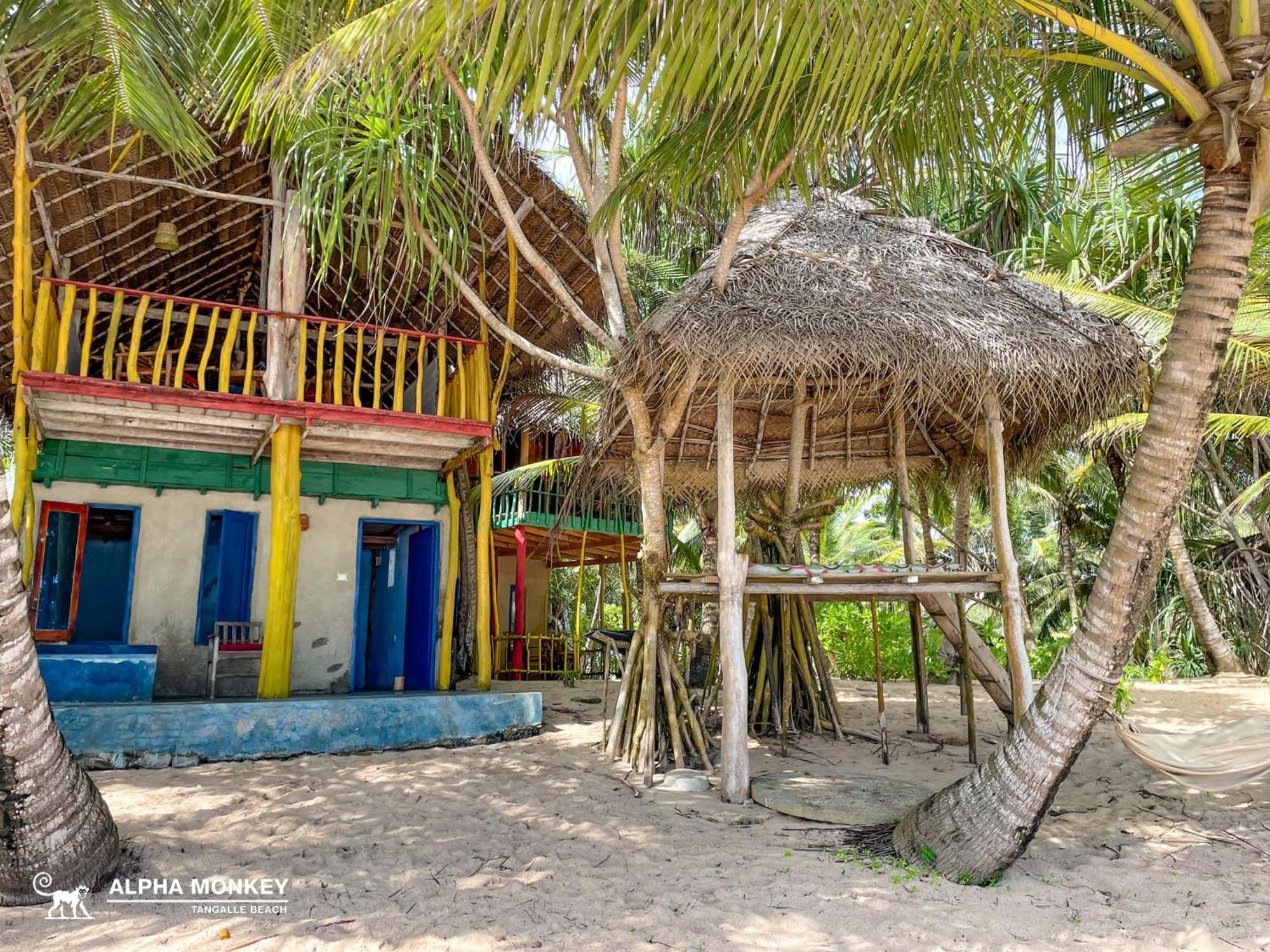 The Alpha Monkey Hotel & Tree House Tangalle Phòng bức ảnh