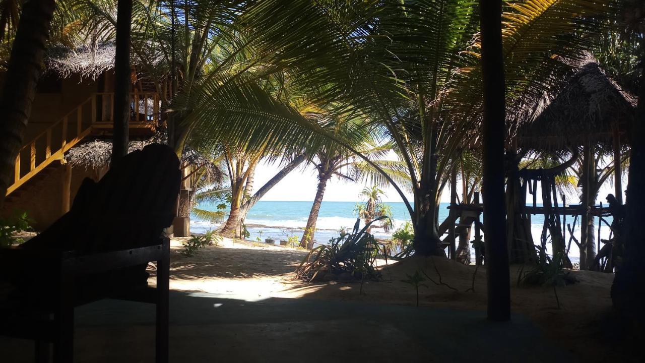 The Alpha Monkey Hotel & Tree House Tangalle Ngoại thất bức ảnh